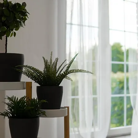 Beautiful With Parking In A Quiet Location 度假居 俄斯特拉发