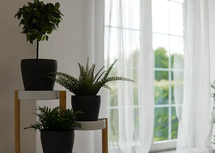 Beautiful With Parking In A Quiet Location Casa vacanze Ostrava